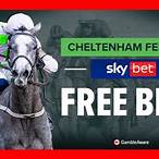 cheltenham bet